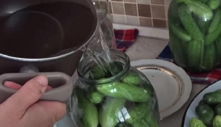 9a021c6c8c3a1bb7782053e6c2a18a94