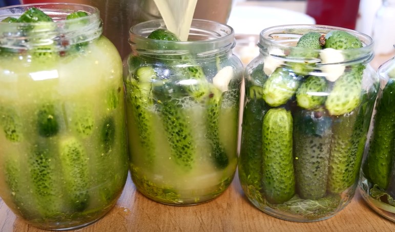 a9d2bcdf2c4a59bb4f2815d504a9d0fe