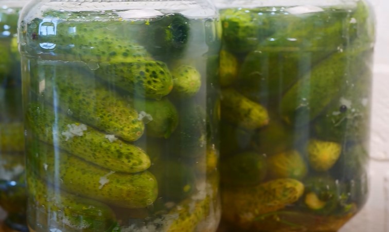 f81f8423df69a426c57f6457dde698e9