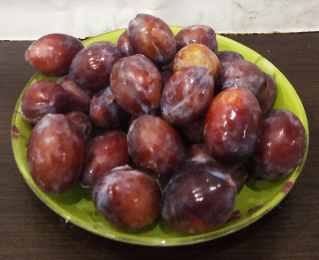 29027aaad8d005bc3b917da24efe67c3