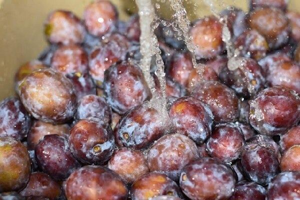 2b970e63f7bfc0a766349f515295c3d0