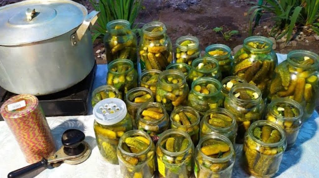 3f6d703dc31d98a9a3d86b844c2a0bf6