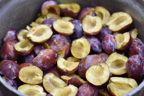 40101e003c47556b71f4c629b69d6421