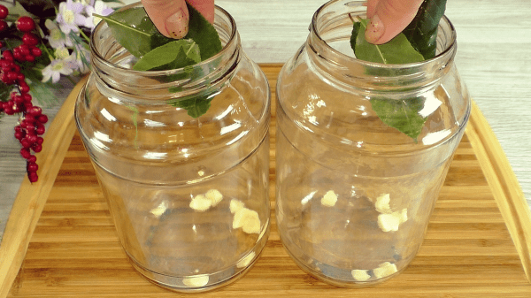 50d17642358e53aa387d2ae8738af493