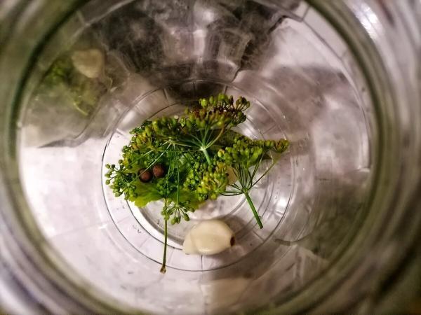 6a9ae84635a94b8cf826e9cca609c1b4