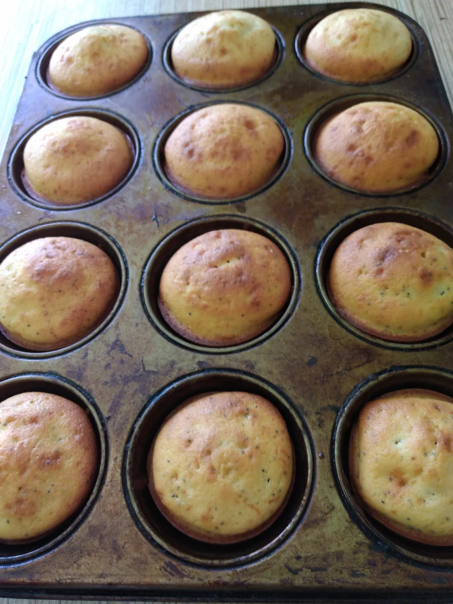 7f7b7e54e48e494155a78cfbfd4ba1e3