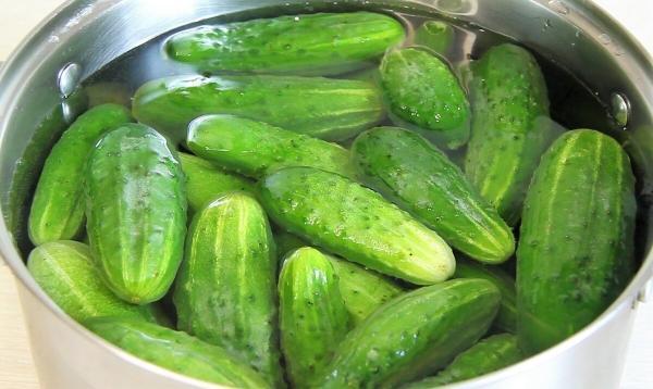 c87d7508df07ad5a02fc97982dae7f16