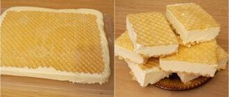 domashne morozyvo plombir