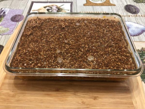 ea97f88d2f4a23ab4f4e8b8a525de14c