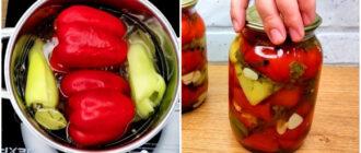 yak pryhotuvaty perets po serbsky na zymu