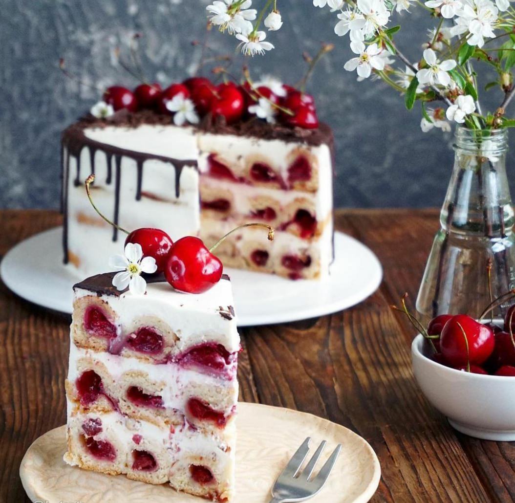 82c8440493c17265d8434674b2742bdc