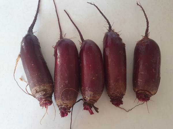 f3426547c92a8efdb9ddc2adb957f0df