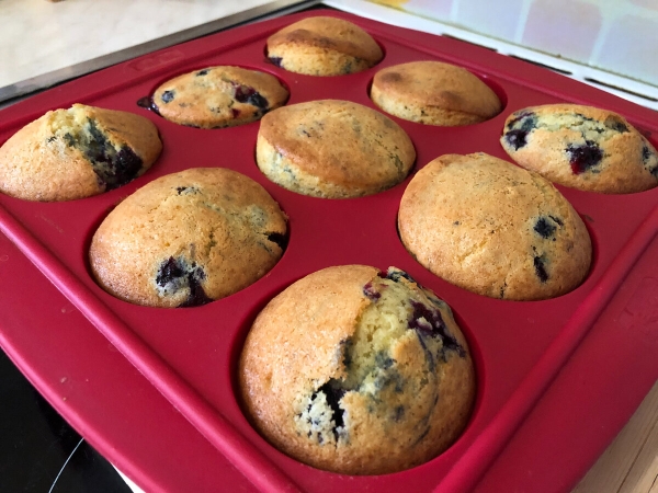 29a9dc3d45c9aa71486133431e0ee03f