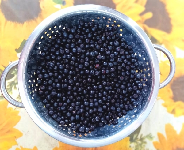 4200ae1edcbd9221fac30b878461a634