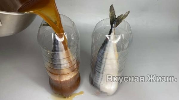 Кладу скумбрію в пляшку і заливаю маринадом (несподівано смачно) 42 86573a95621928ceb32e4fb00f8d28cd