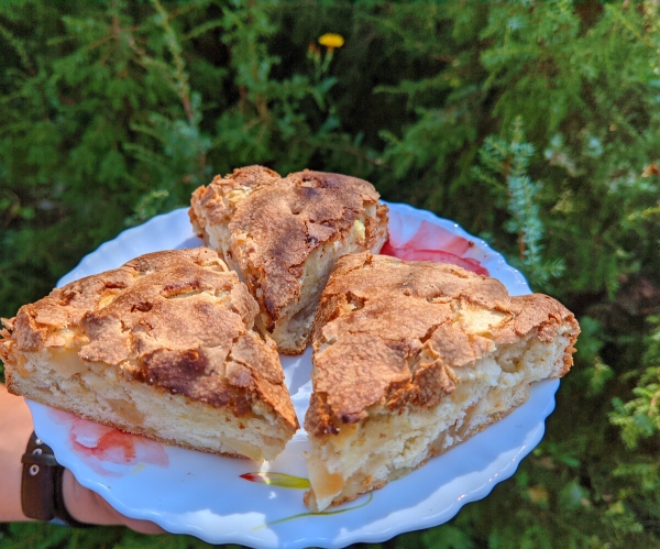 9687e26281885a51f233368e5447d391