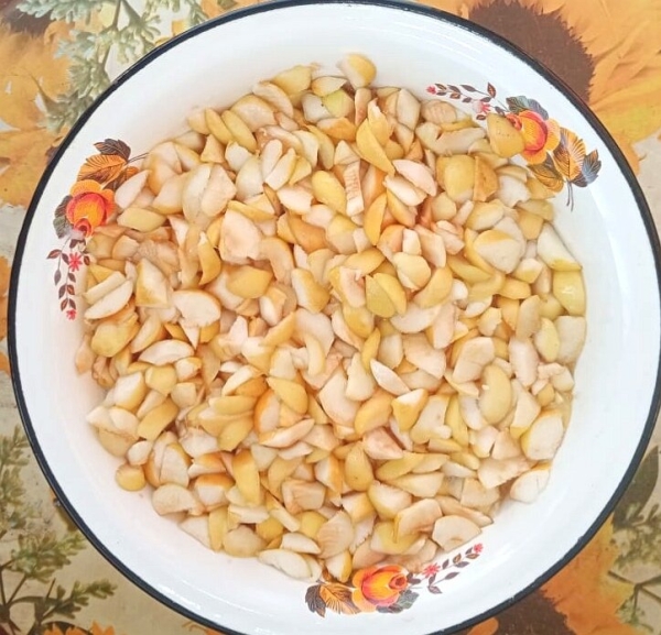 9b7f1be750fe7907ba3c279c66112b25