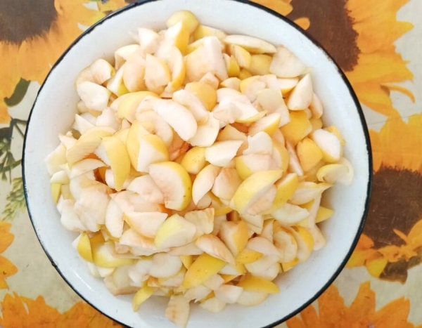 b697c97787219a9c8157ff4ffd892002