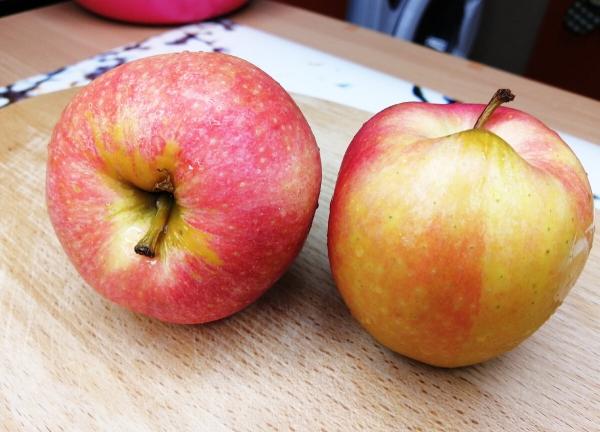 cbeb3f4e271a1f56a4a8a3f51d19ff51