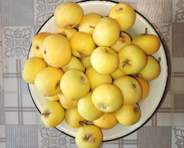 d5e3246799097e3ad9dadce452bba4f4