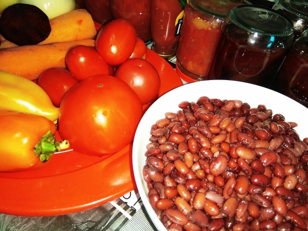 d93d9c9c3fd073a77d8d42a2eff32083