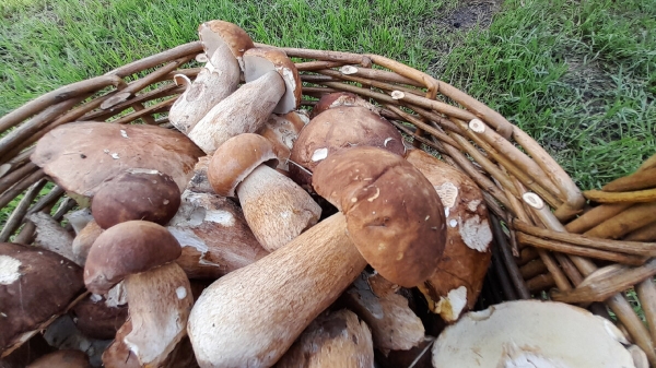 df4ce6be5b7c17369d9ab8461e6b224b