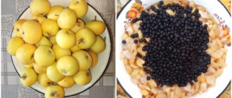 f23aeaeb3a7cfa7aade1c81749641e05