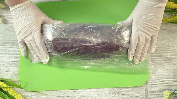 5ca6d7096d6746f6030384e52a29aeda
