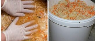 ab9e9303fd7de8c9172192e26a9be3c5