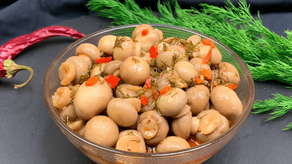 48502afb2a23cfb9e1b0ef2b1a9247b7