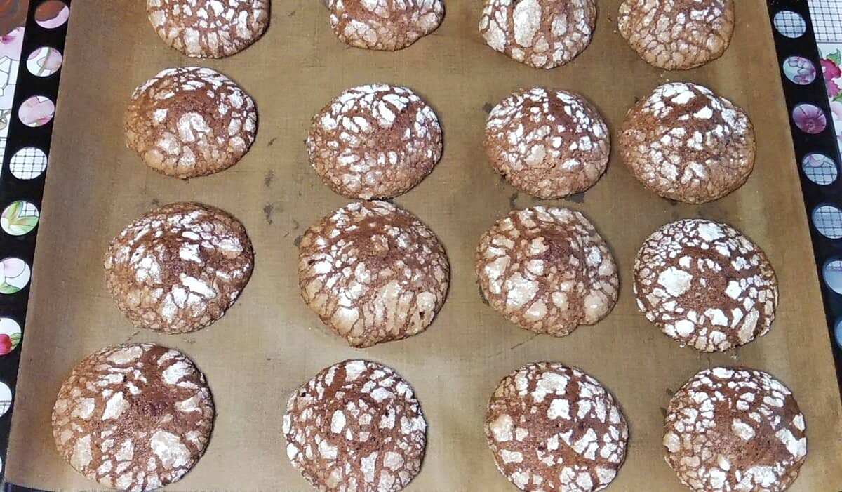 c2fdb36426ce45d38995f28d96ab5660