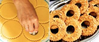 faf5214409a2663662a8ffe0f82c5515