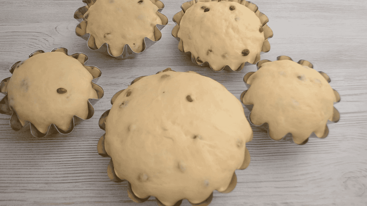 79ec0896a78a959ad6a852df9b493471