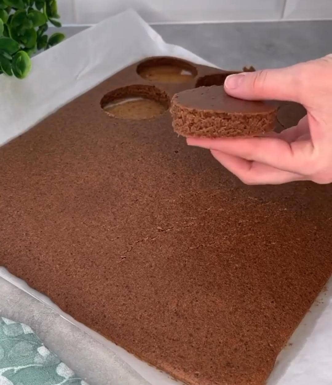 92fc6b7f5ddbff84655e237e73fbca52