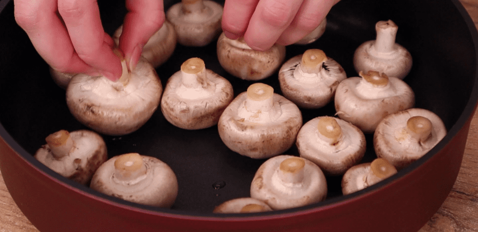 b08426863e5fad2c7920a18a91c3fcc8