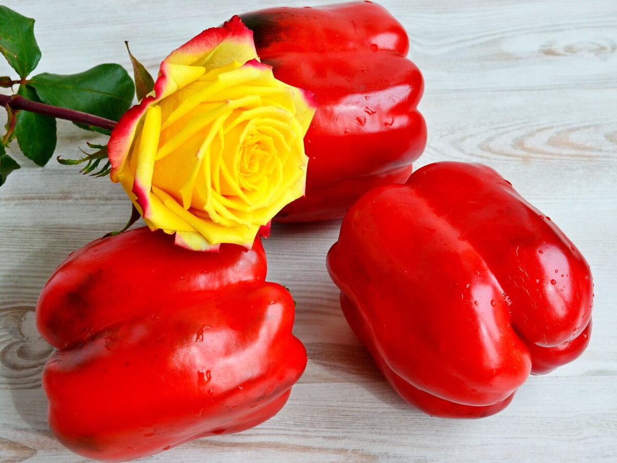 50ce902e701e0b320c55e0d9858bded1