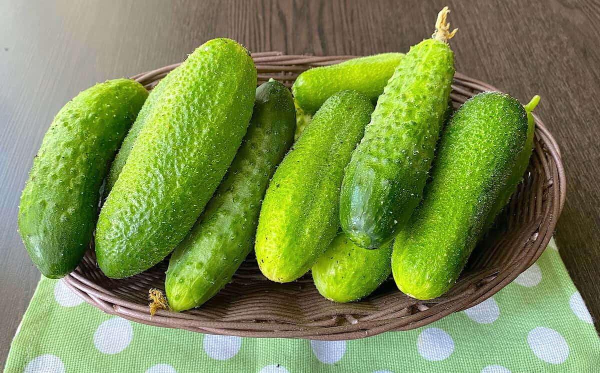 dad5f955bb3a4f2a2dfb9bb535b0af9d