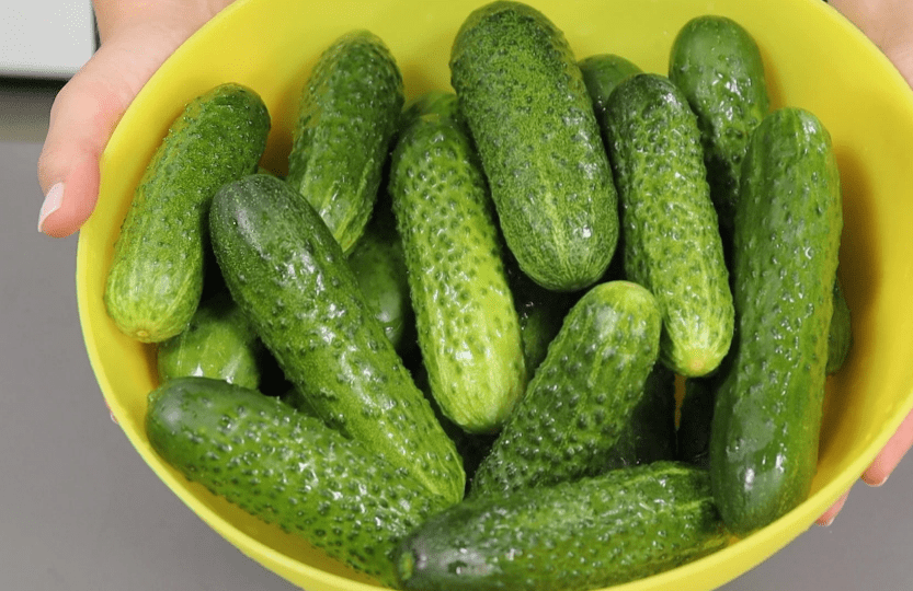 dfe609fe33222a94930bc07f44665806