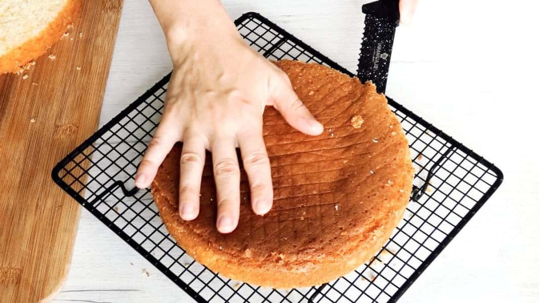 41f905817178f3200f2ee63f021de285