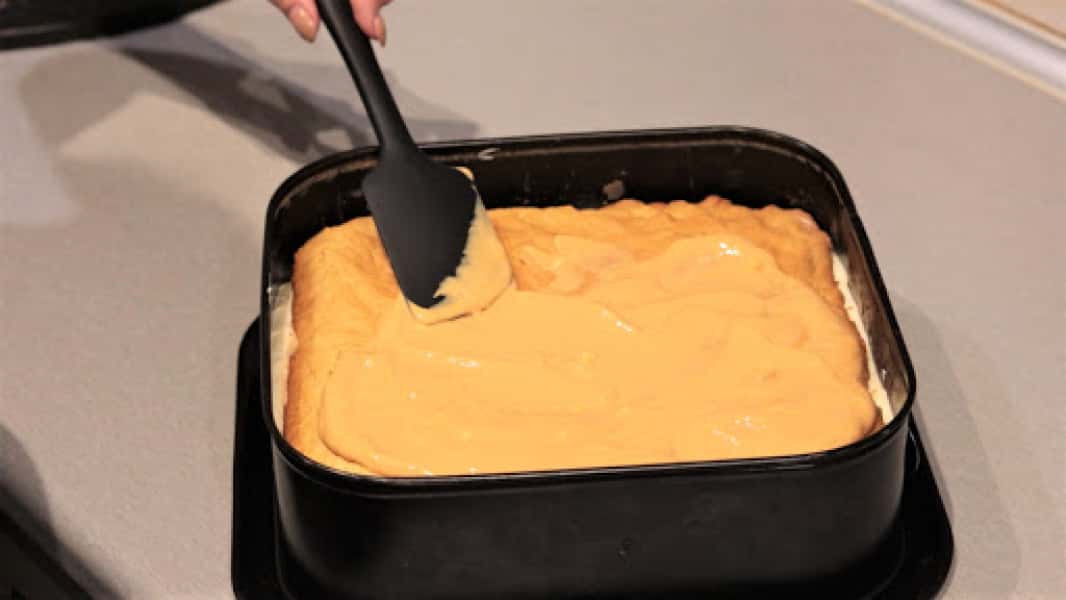 f69ac3c41397e4d6cd21fc6ea39d4310