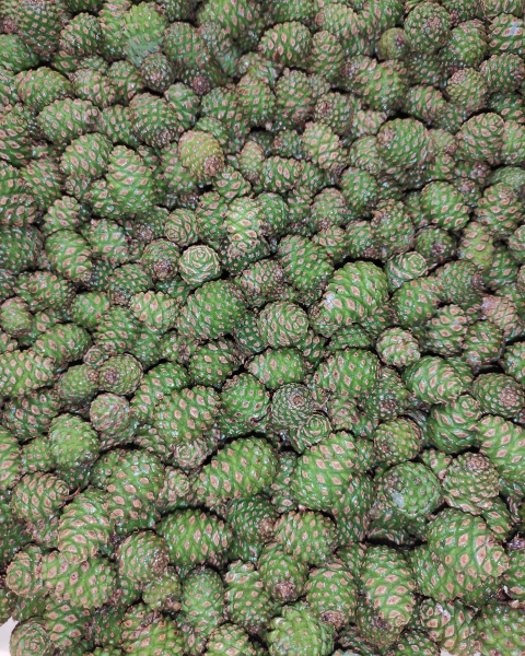 6ec070523005b9b987013880e7708aa1