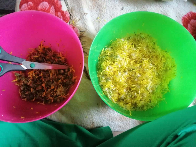 Варення з кульбаби – рецепт оригінального варення з кульбаби на зиму 35 8eb17038c641de06ef2e7ce0748b5139