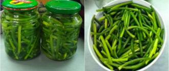 11de1b8fb87b1d576af177c065269aa6