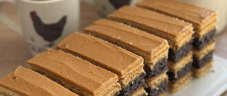 148fa9656c9dad64f00824c471b95956