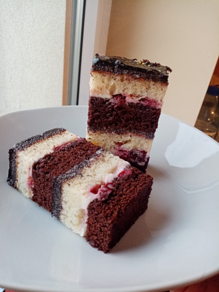 fe16296fe3c248624c9c85ecba4e9743