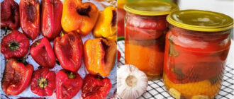 3164b410ac20fa926128a8a783f8edf2