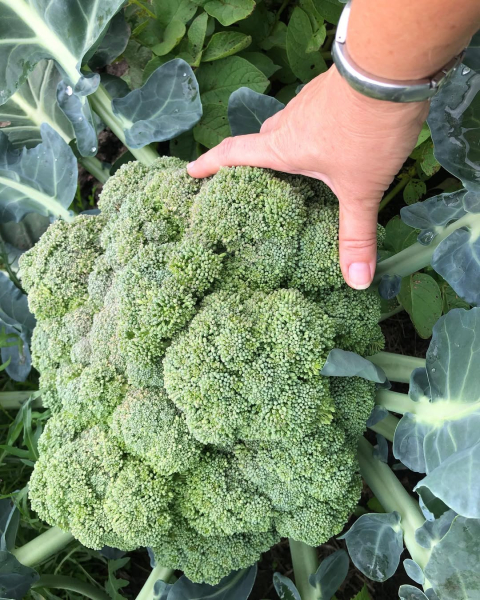 a3bc93e5aed2a9c6f7ad69920379c994