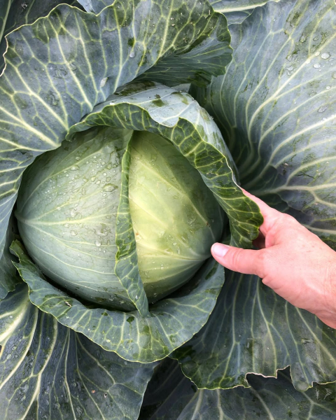 ab9de6cd86c5488b75249d63f3a1e0e9