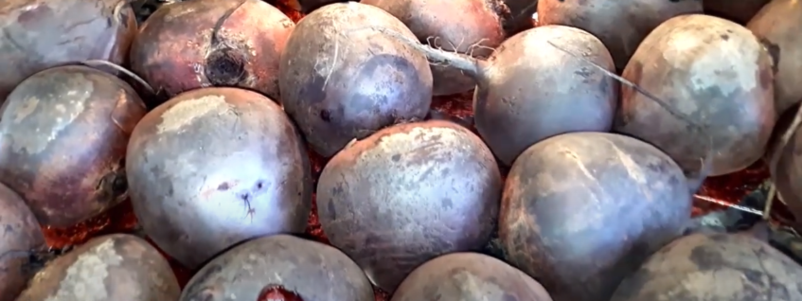 be69bf39e920668ba22a55fd5ede6fef