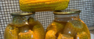 eb063f9428f1ba3c005e853876ecc87d